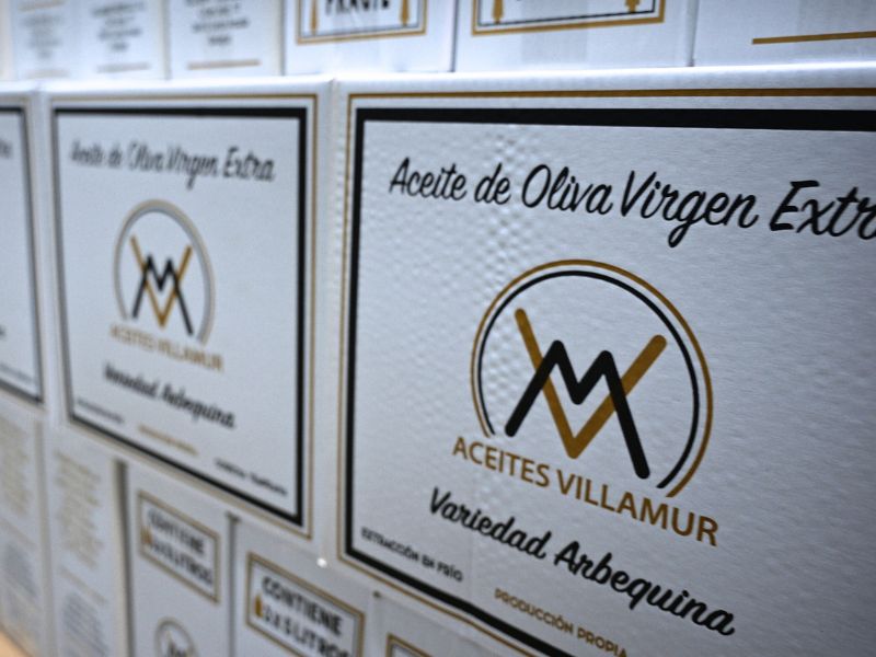 aceite de oliva virgen extre en santa amalia
